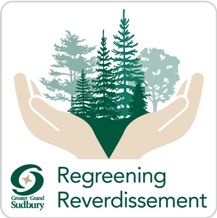 logo de reverdissement- mains ouverte avec des arbres au milieu