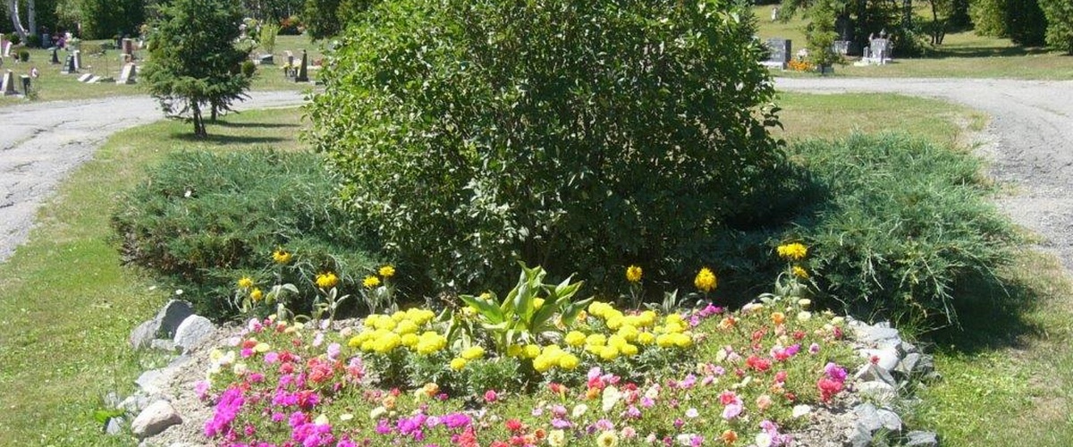 Cimetière Waters